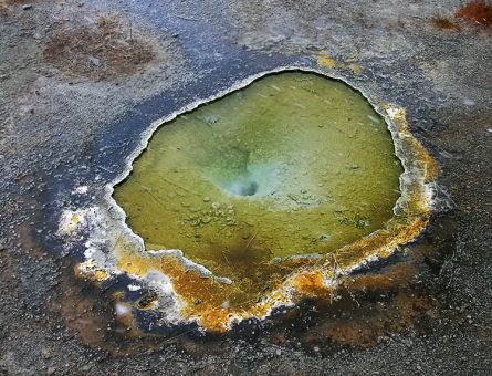 Золотой гейзер (Aurum geyser).