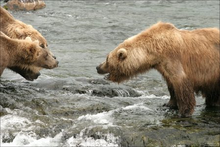 Мама и дракон.