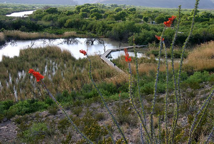 Верхняя точка тропы Boquillas canyon trail.