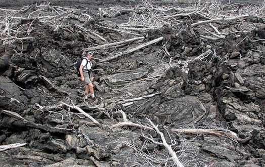 Лава, прошедшая через джунгли 10 лет назад.
