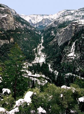 Долина Yosemite. На заднем плане скала Cathedral и водопад Bridalveil fall.