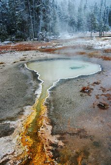 Разноцветные водоросли вдоль ручья в Верхнем гейзеровом бассейне.