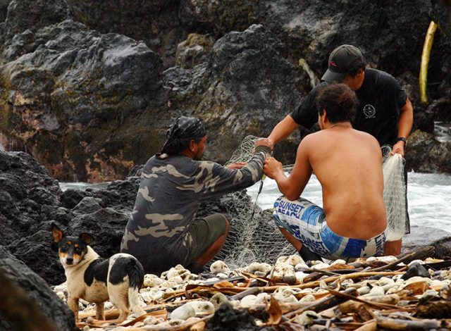 Трое с сетью, не считая собаки...