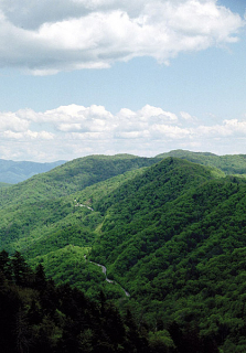 Newfound Gap road с высоты.