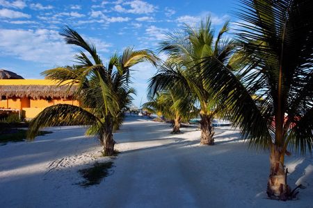 Песочные улицы единственной деревни на острове. Остров Caye Caulker, Карибский бассейн.