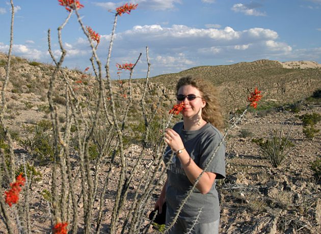 Прогулка по пустыне в районе каньона Boquillas.