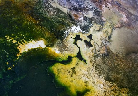 Разноцветные водоросли в одном из водоемов на Гейзеровом холме. Нет, это не аэрофотосъемка :)