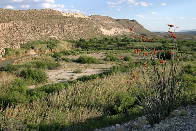 Каньон Boquillas. Горы принадлежат уже Мексике.