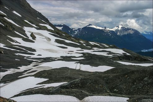 Снежные "лужайки" на склоне гор Kenai Mountains.