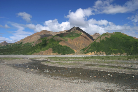 Один из небольших притоков Toklat river.