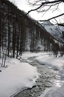 Альпийский ручеек. Национальный парк Gran Paradiso.