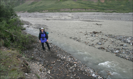Начало похода вдоль Toklat river.