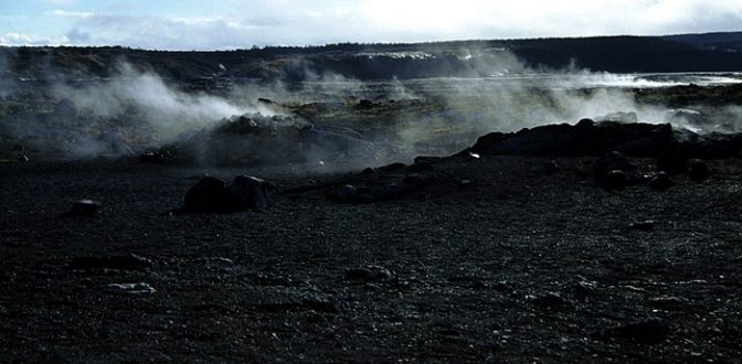 Раннее утро в парке. Hawai'i Volcanoes National Park.