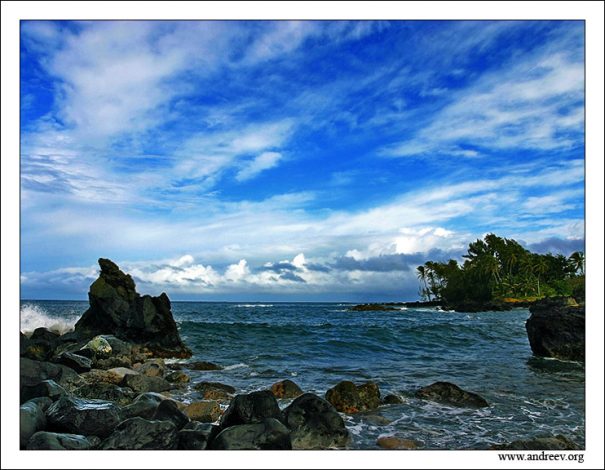 "Перед штормом". Почти спокойный океан, омывающий гавайский остров Мауи. Пальмы начинают гнуться, небо затягивается тяжелыми грозовыми тучами. Вечером будет шторм…