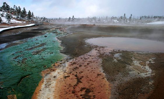 Красные и зеленые оттоки гейзера "Вихрь" (Whirligig geyser) в Фарфоровом бассейне.