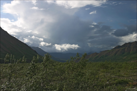 Дождевая туча над тундрой.