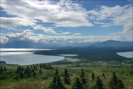 Лесная перемычка между озером Naknek lake и Iliuk Arm.