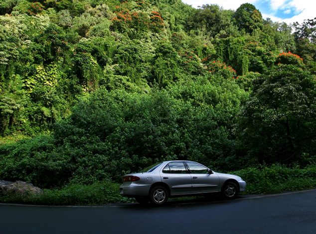 Шевроле в тропическом лесу.