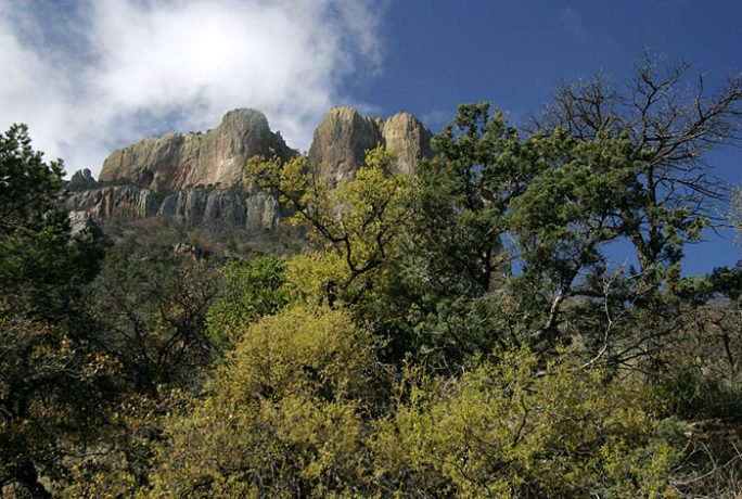 Весенние краски в горах Chisos Mountains.
