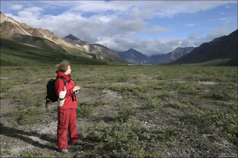 В сердце тундры.