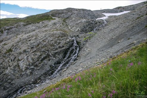 Альпийский ручеек. Верхняя часть тропы Harding Ice field trail.