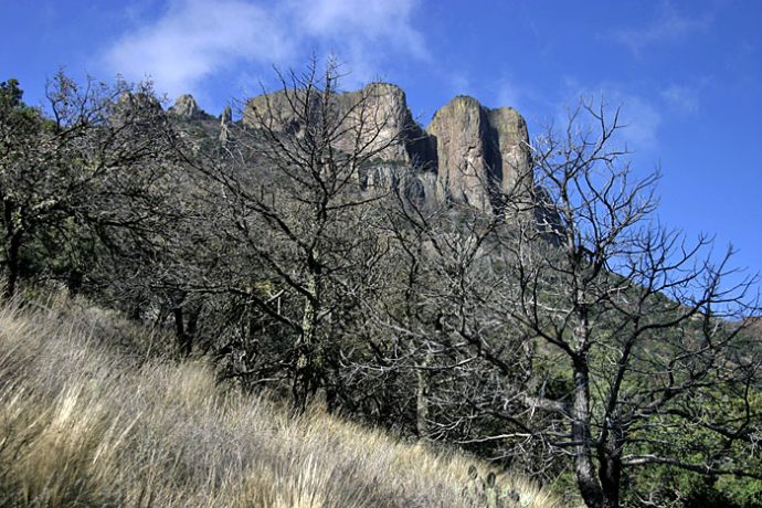 Северный склон Casa Grande.
