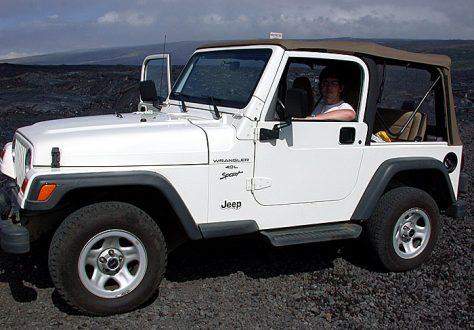 На месте бывшей деревни Kalapana, стертой с лица земли лавовым потоком 1997 года. Hawai'i Volcanoes National Park.