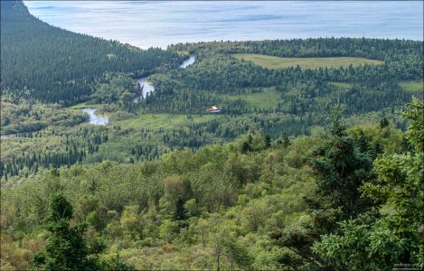 Крошечный самолетик и Brooks river.