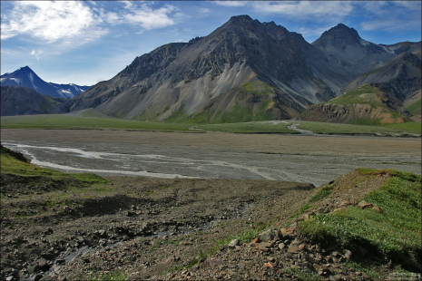 Зеленое подножие гор, входящих в систему Alaska range.