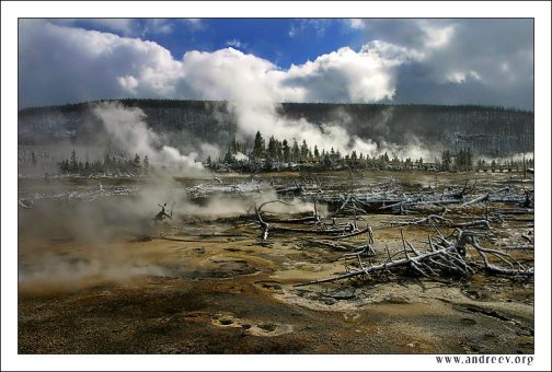 "Поле боя". Пар от гейзеров смешивается с облаками, деревья лежат словно поверженные солдаты, почва раскрашена бактериями в яркие, нереальные цвета – все это особенности национального парка “Yellowstone”.