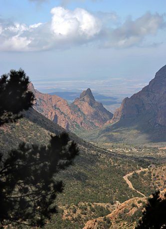 Вид на Chisos Mountains и пустыню Chihuahuan Desert с высоты тропы Lost mine trail.