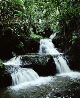 Многоуровневый водопад Onomea Falls. Гавайский ботанический сад.