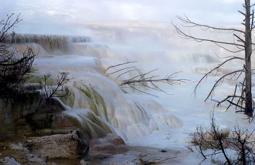 Кальциевые отложения в Канареечном ручье (Canary spring).