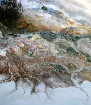 Яркие террасы Канареечного ручья. Mammoth hot springs.