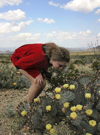 Катя, изучающая бутоны грушевидного кактуса.
