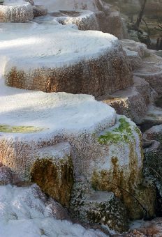 Кальциевые "барабаны" в Канареечном ручье.
