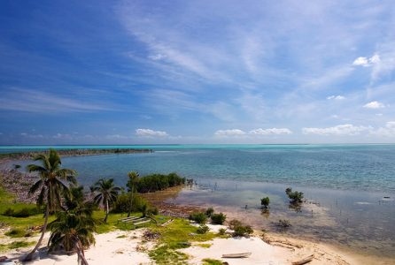 Море разных цветов (по глубине) с высоты маяка. Атолл Turneffe.