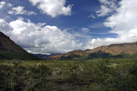 Тундра и Alaska range.