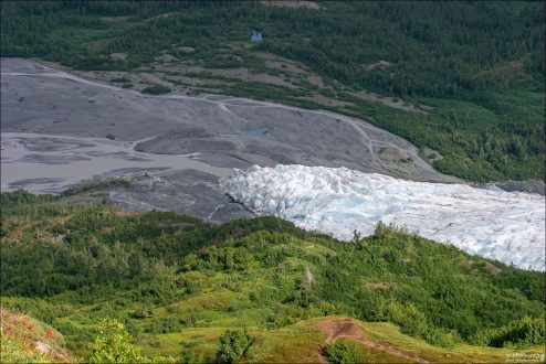 Конечная часть ледника Exit Glacier.