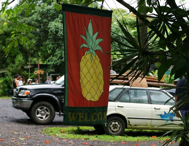 Фруктовый рынок Halfway to Hana.