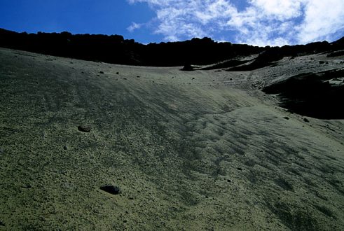 Зеленый обрыв, плавно переходящий в одноименный пляж.