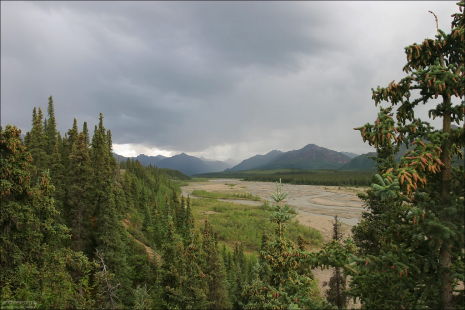 Toklat river с высоты дороги.