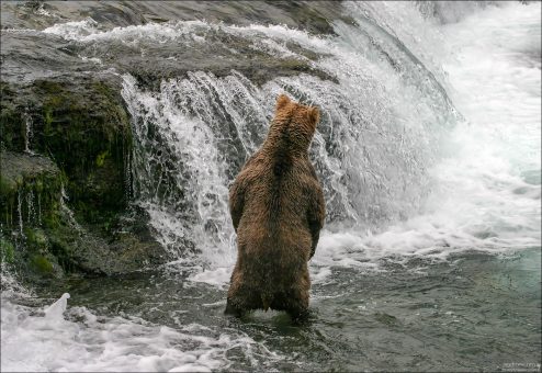 С другой стороны водопада тоже рыбы нет.