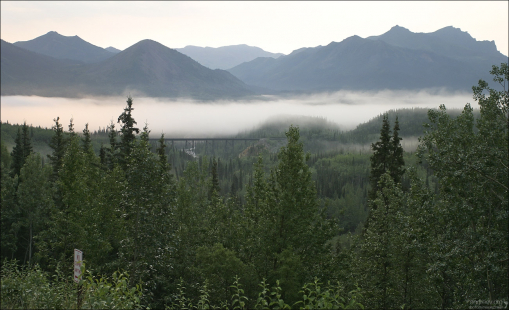 Поле тумана над дорогой.