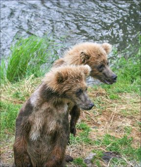 Самое интересное - за кадром.