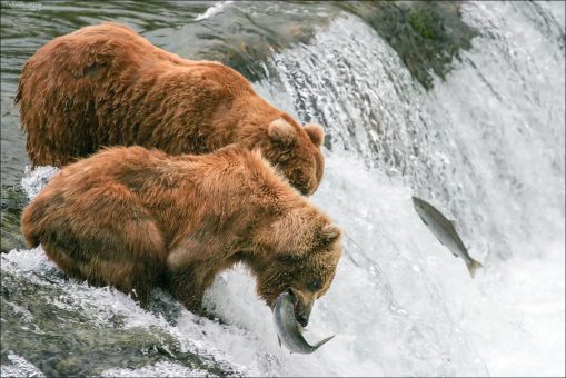 Активная рыбалка.