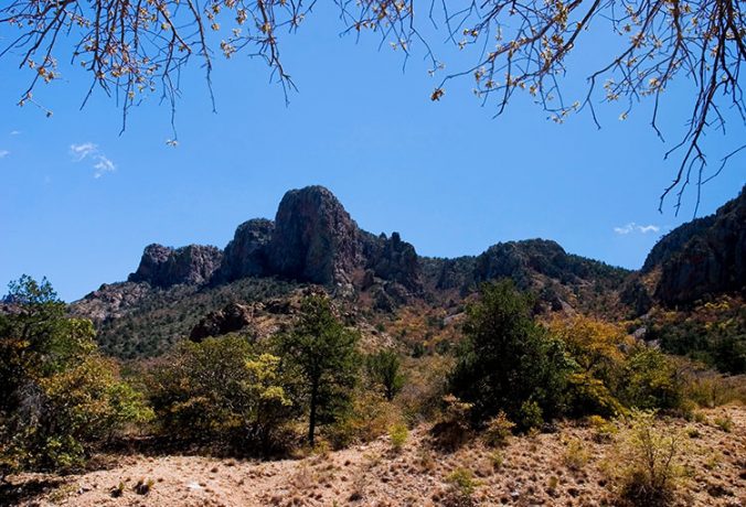 Горная система Chisos mountains весной.