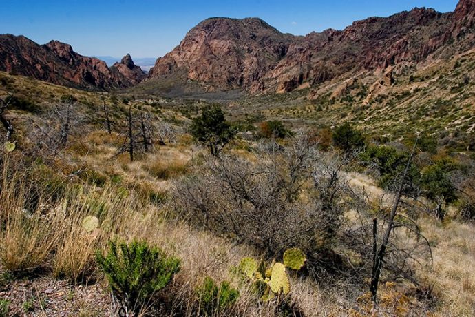 Долина Chisos Basin.