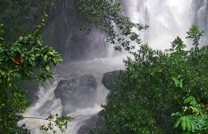 Ручей из водопада Wailua falls, проходящий под дорогой.