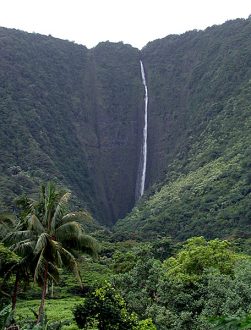 Самый высокий на острове водопад Hi'ilawe Falls (высота 1,600 футов ~ 488 метров). Waipi'o Valley.